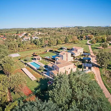 Sun Spalato Teranina